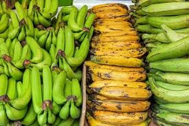 Fresh Plantains