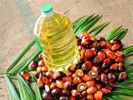 Palm Oil