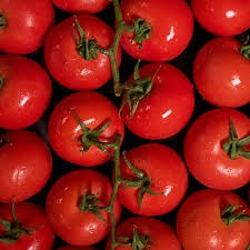 Fresh Tomatoes