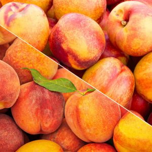 Peaches & Nectarines