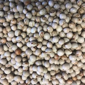 Pigeon Peas