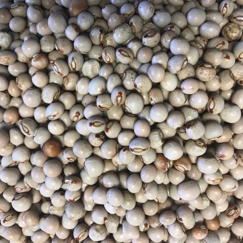 Pigeon Peas