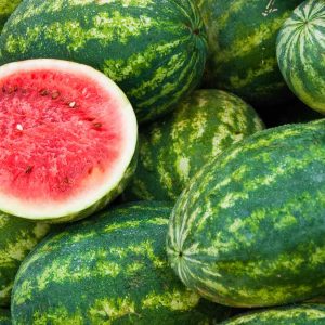 Fresh Melons